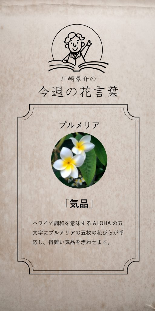 マミフラワーデザインスクール 今週の花言葉